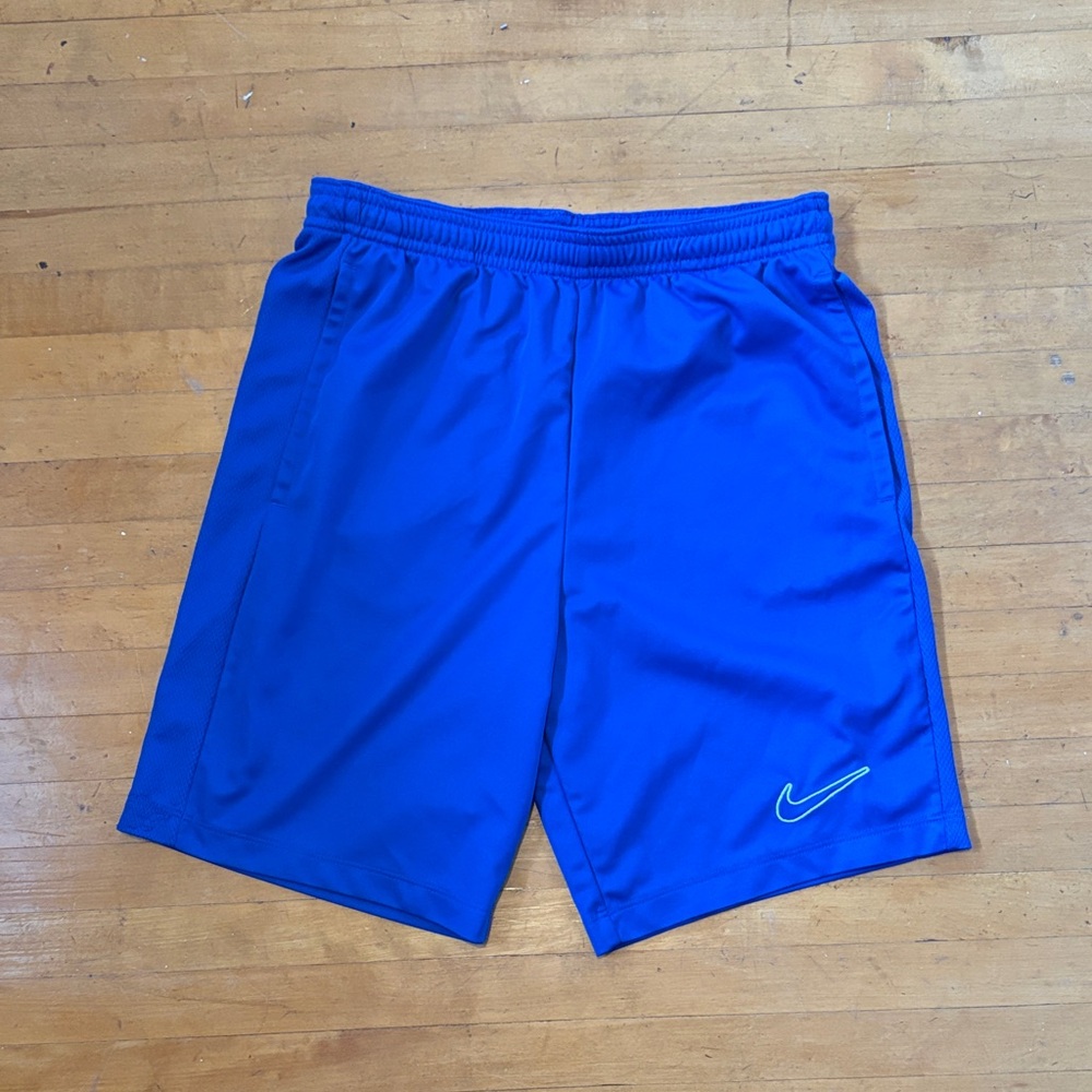 Nike youth Dri Fit shorts, Large